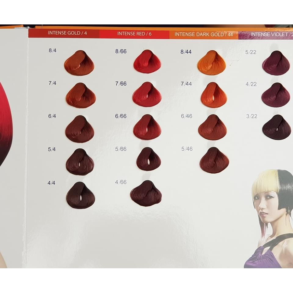 Thuốc nhuộm thảo dược X9 (bảng màu 2)