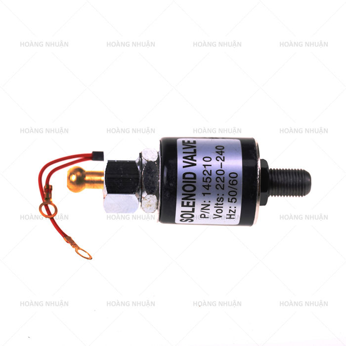 Cục bơm bàn ủi hơi nước bình treo (solenoid)