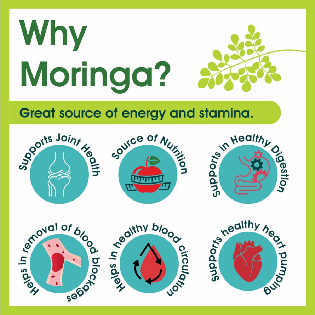 Moringa Powder 1 kg  ( Sitalchini Powder) | Moringa Good For Health and Immunity Power. 