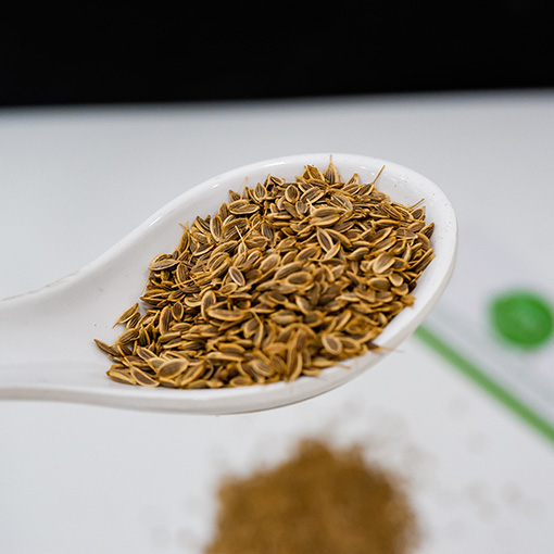 HẠT GIỐNG RAU THÌ LÀ 5gr/ 50gr