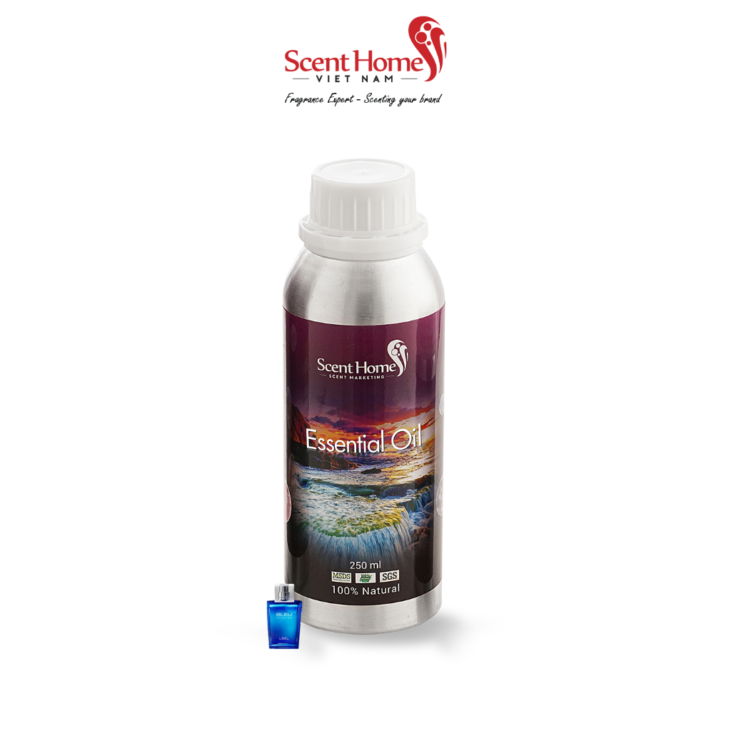 Tinh dầu Scent Homes - mùi hương (Bleu)