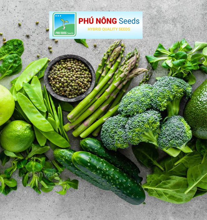 [HCM]Hạt giống hẹ cao sản PN - 2g