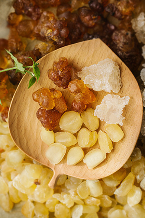 bổ mễ 100 gram tinhhoatrathaomoc