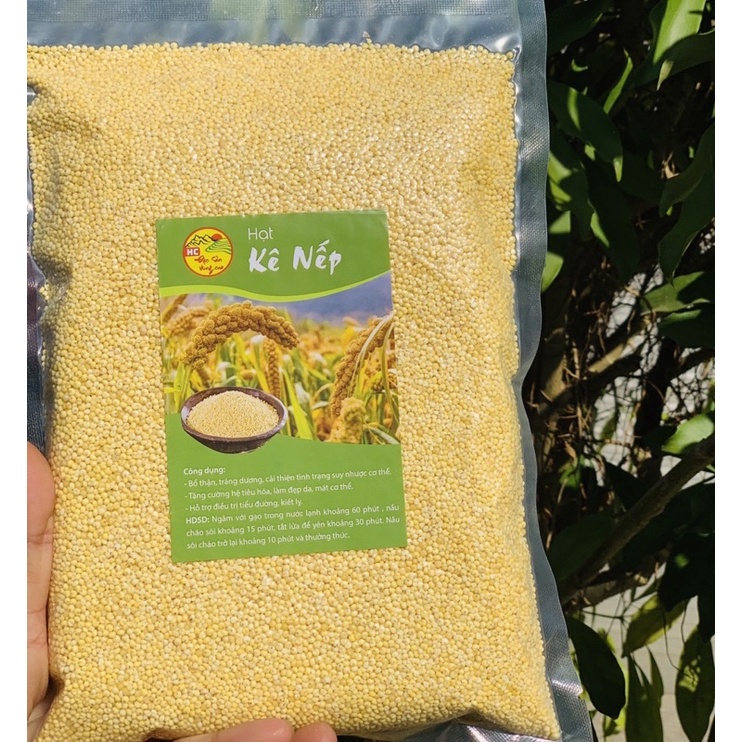 [FREESHIP] HẠT KÊ NẾP VÀNG THƠM CHUẨN ( Ăn dặm cho bé )