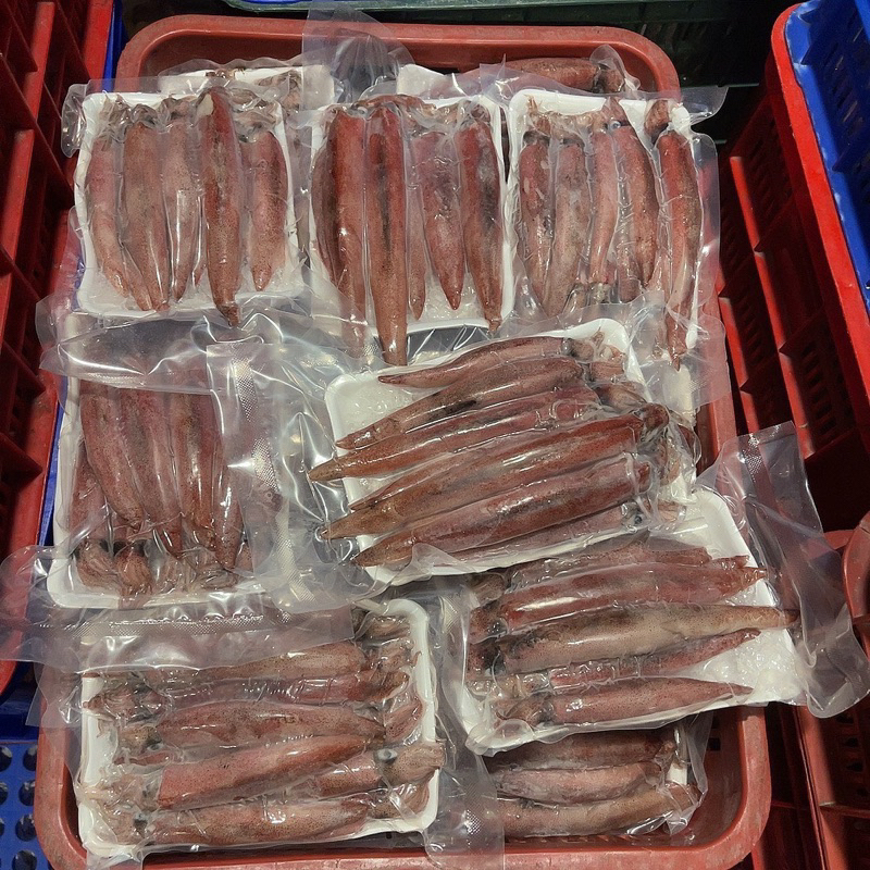 Mực GHIM Trứng 1kg size 9-15 con (giao tphcm)