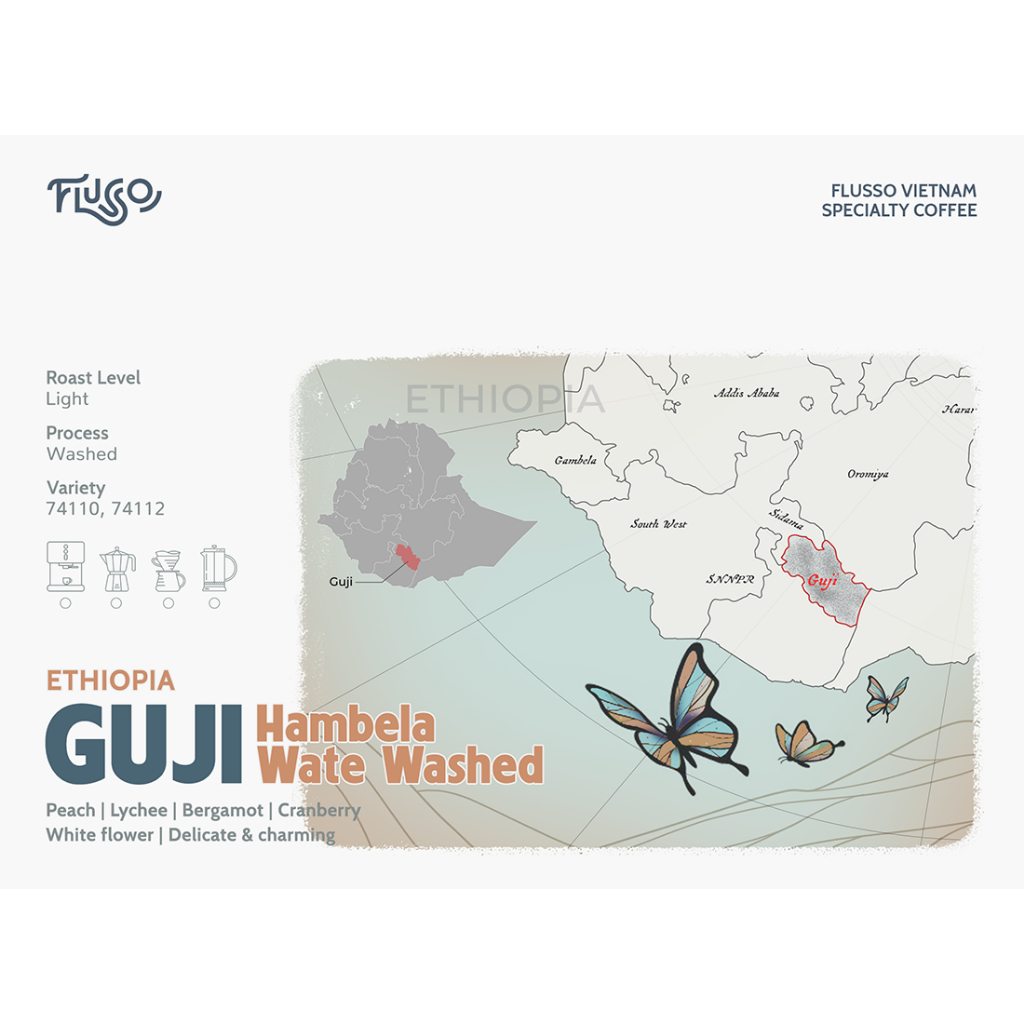 Cà phê Specialty Ethiopia Guji Hambela Wate Washed