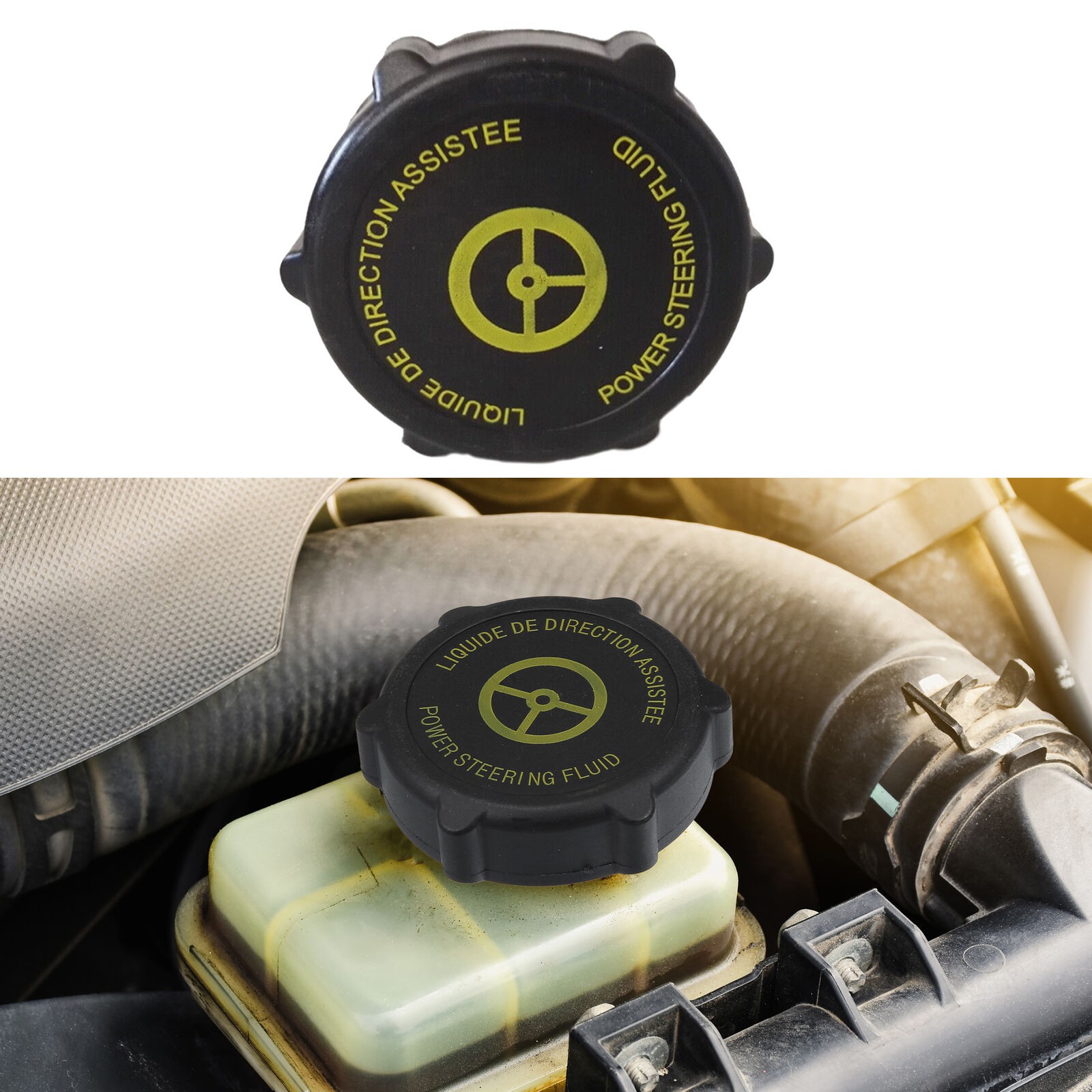 Ford Focus Power Steering Fluid Details Of 70+ Images And 10+ Videos