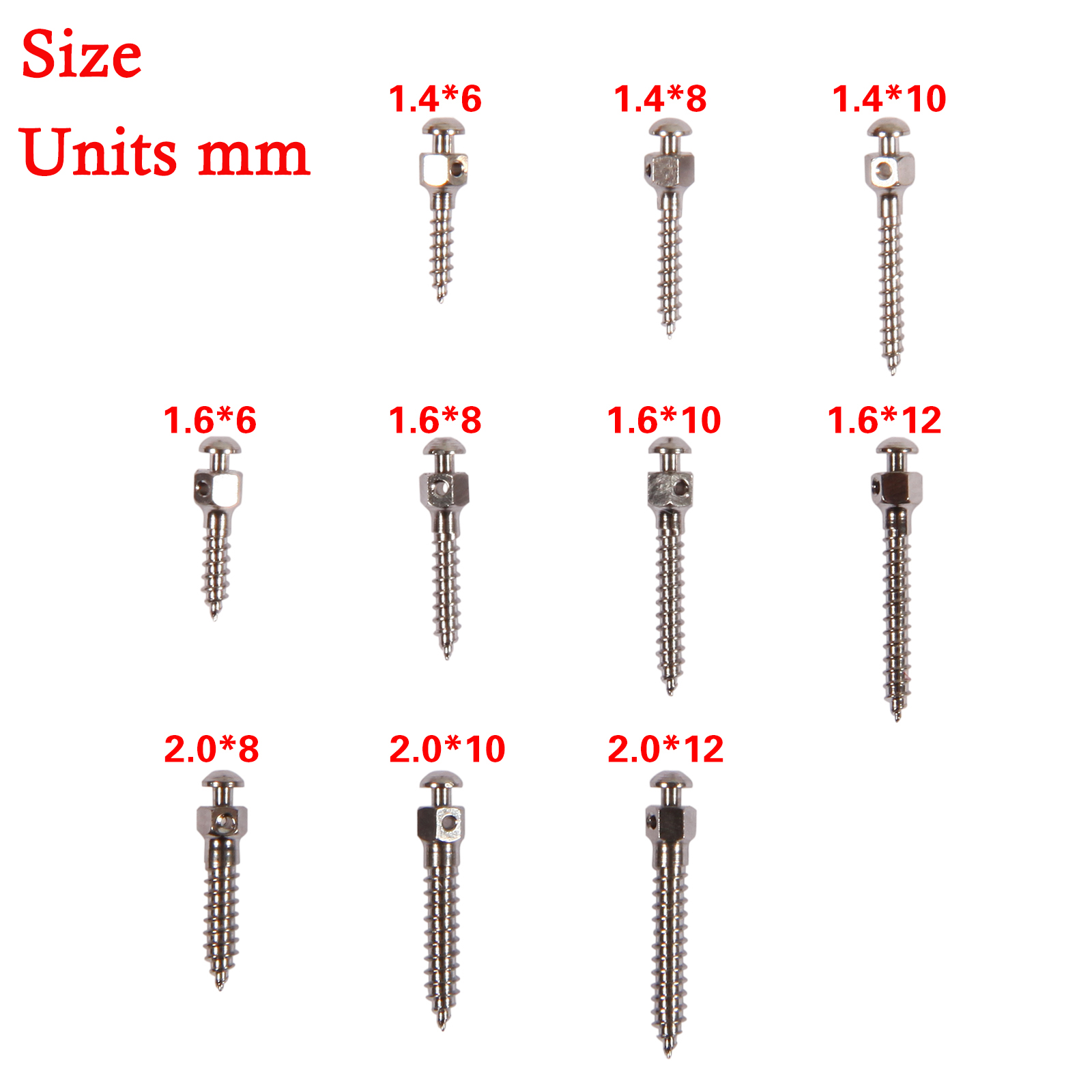 High Quality Dental Tools Mini Screw Dental Lab Accessory