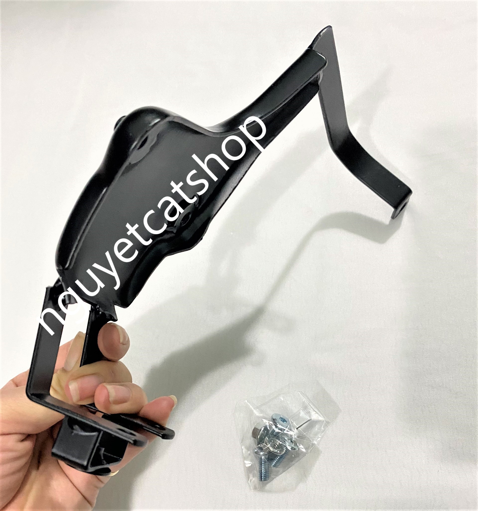 Pas bắt rổ Future