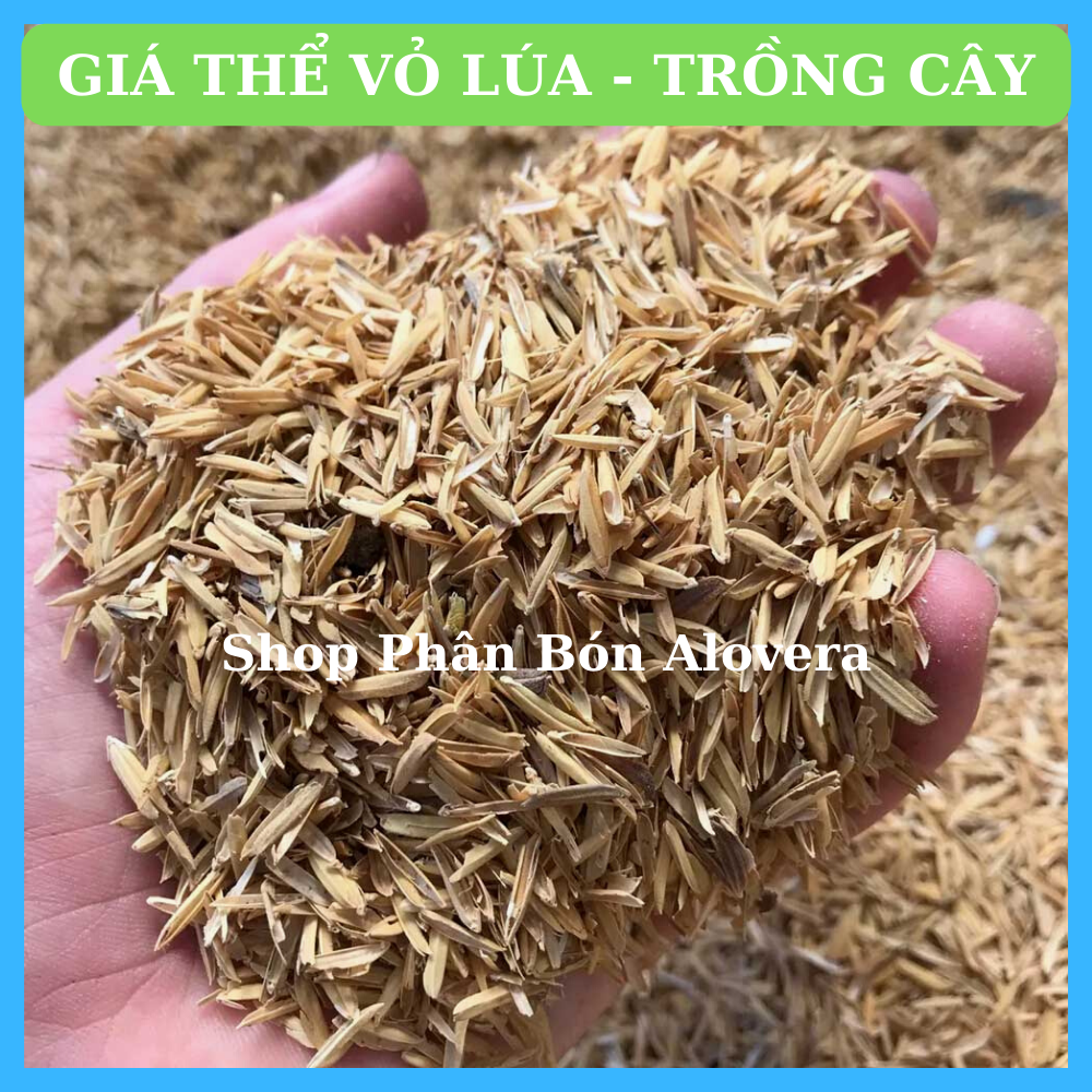 Rice Husk - Rice Husk for Planting