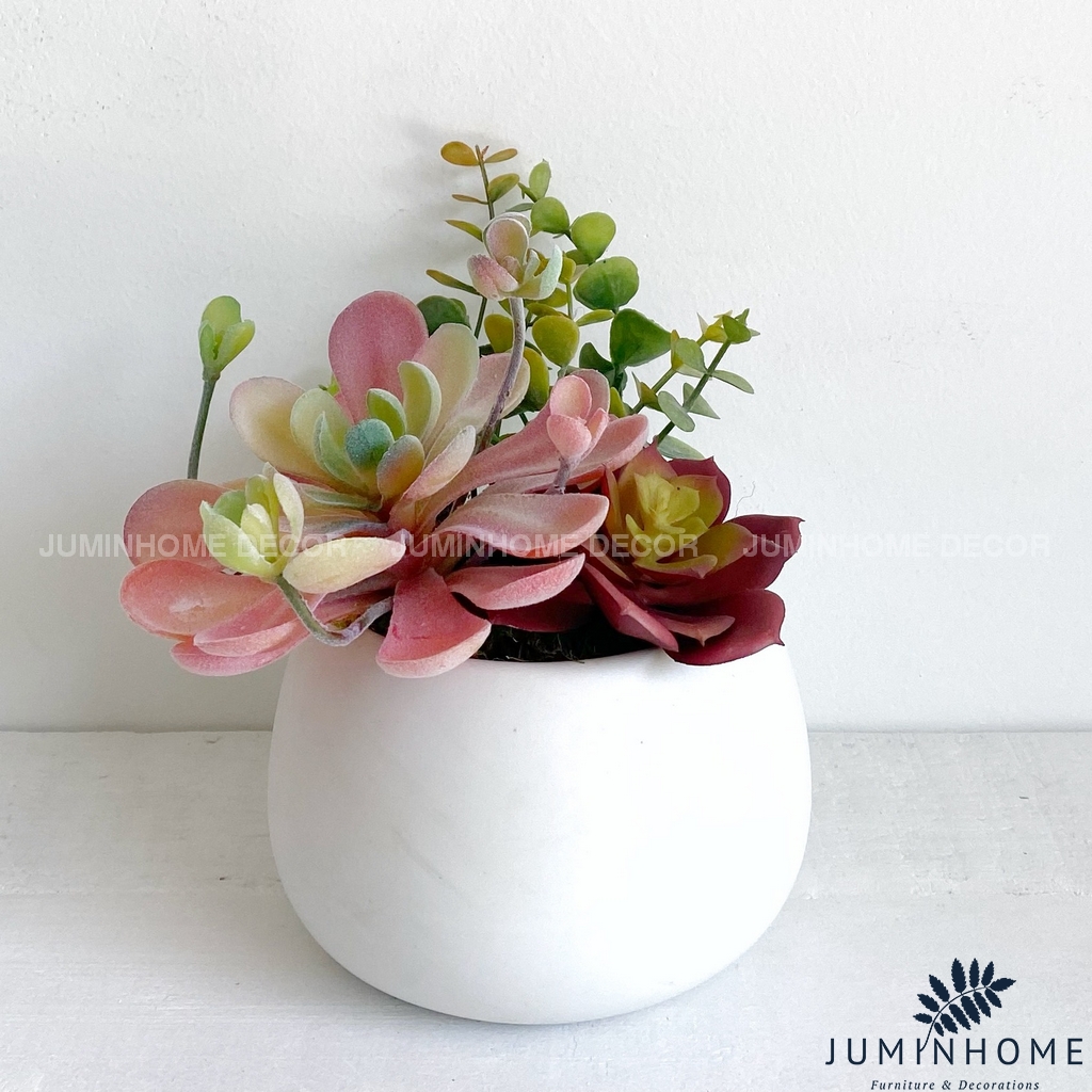 Cây giả Decor - Chậu sen đá hạt dẻ mini Decor trang trí để bàn