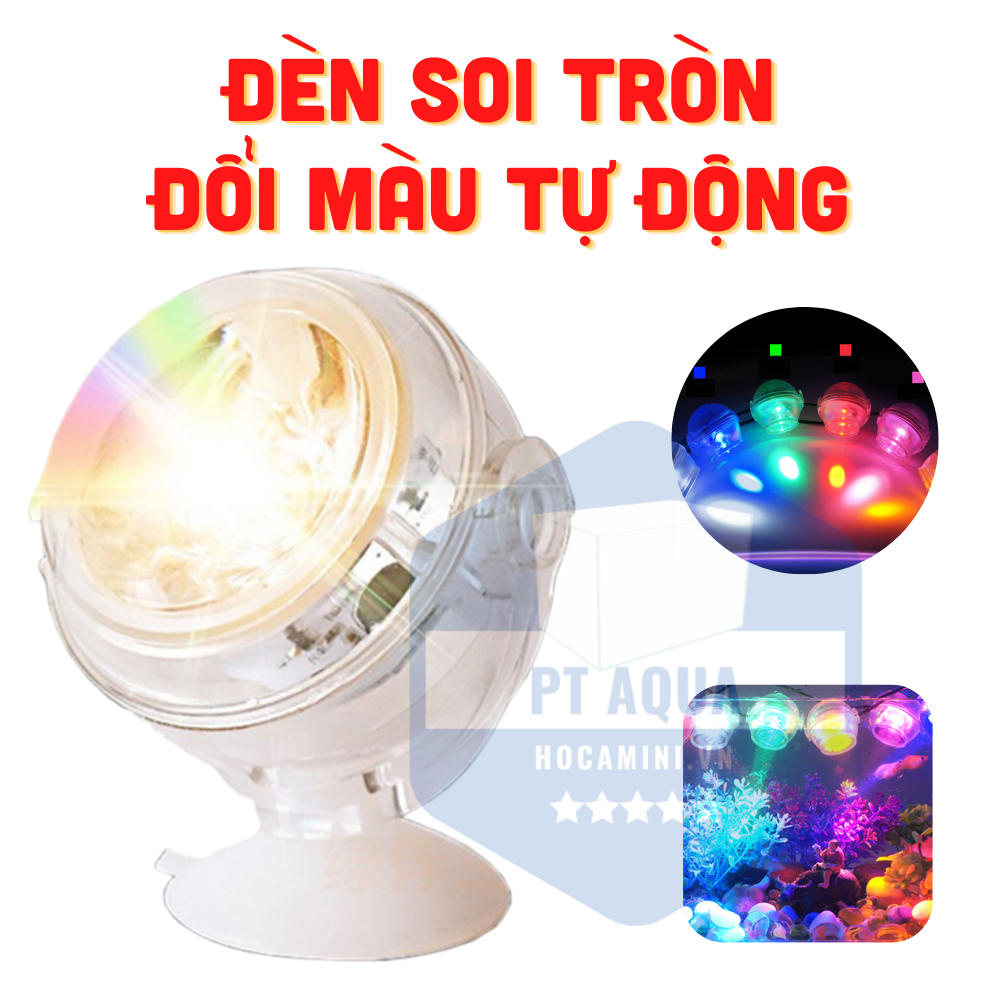 [Hoàn Tiền 10%] Đèn Tròn soi bể cá hiệu ứng đẹp các loại