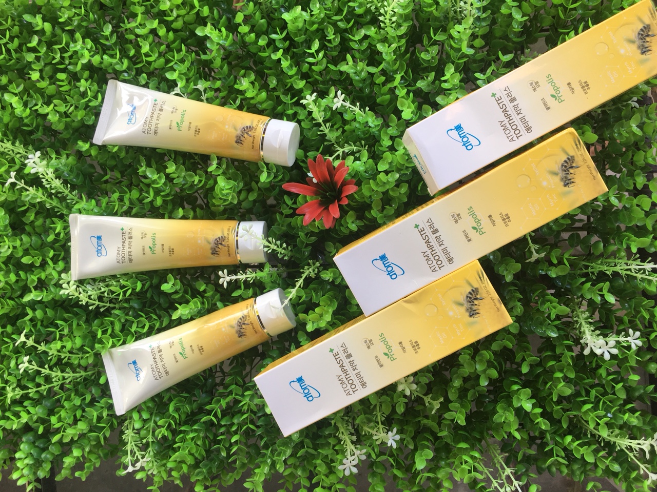 Kem đánh răng từ sáp ong Atomy Toothpaste