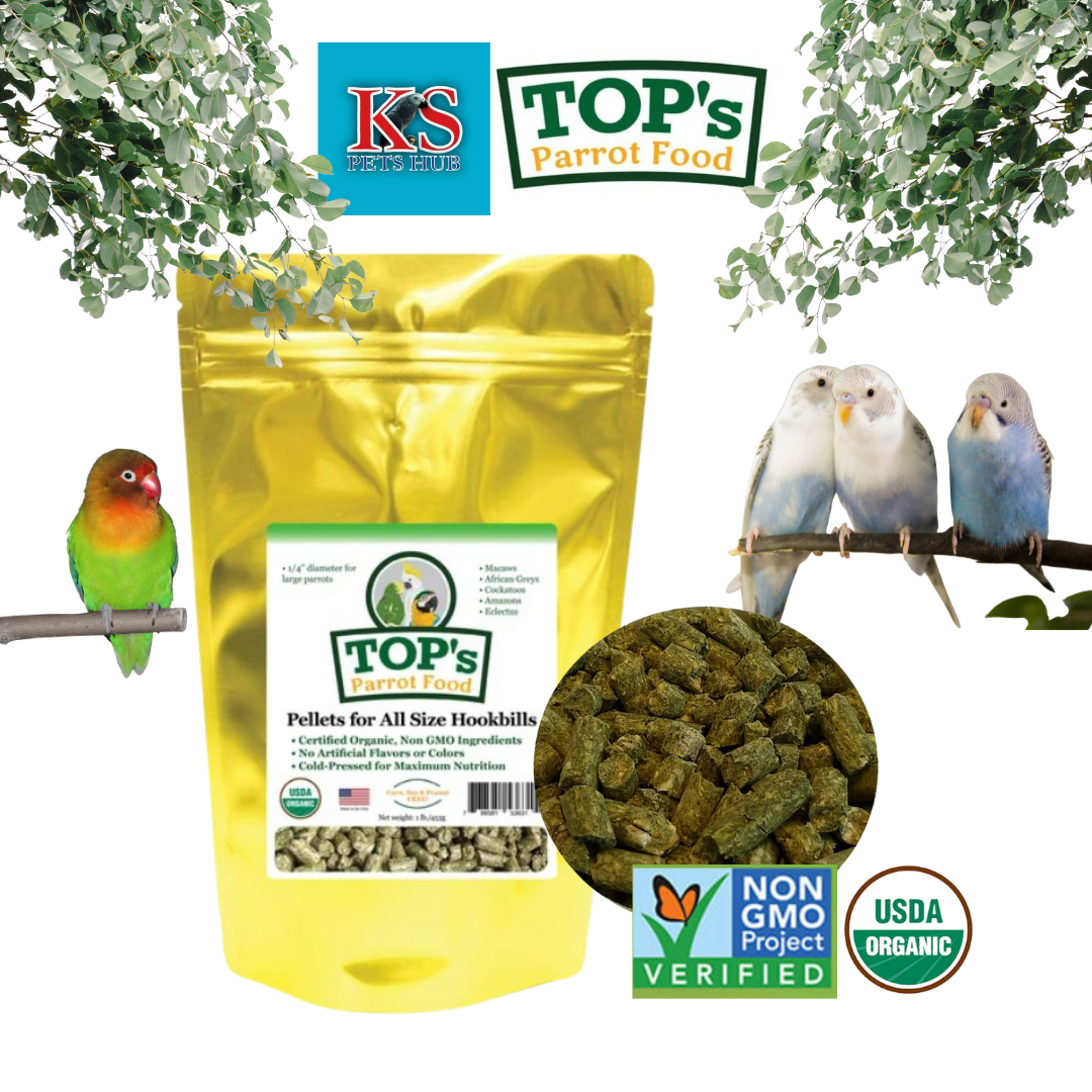 parrot food parrot food