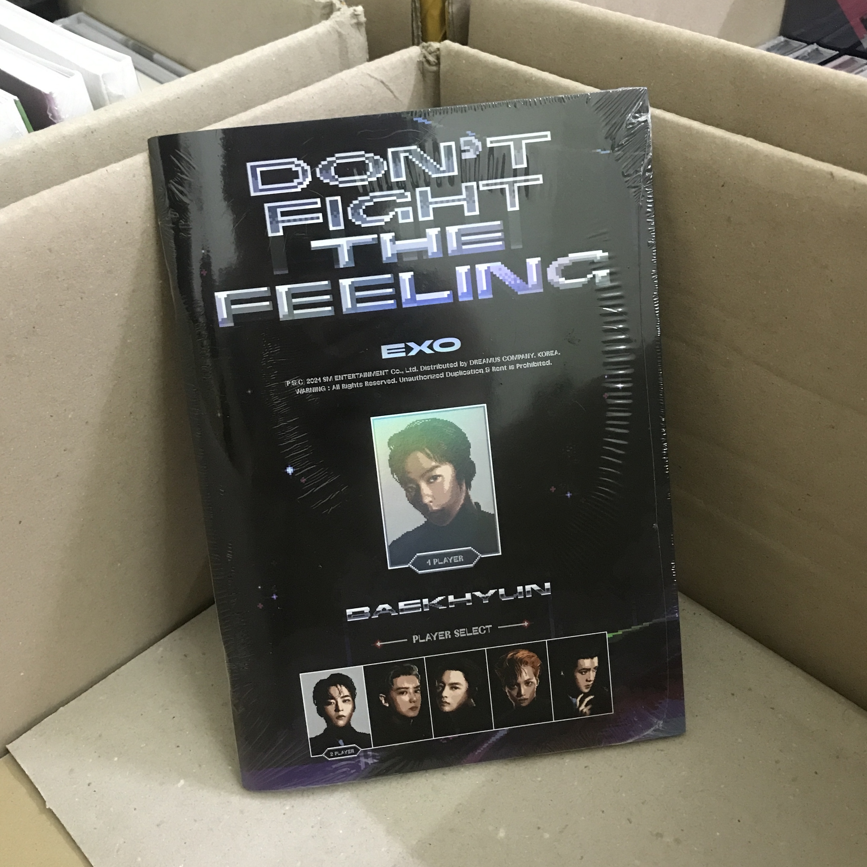 Ảnh Don't Fight The Feeling - EXO