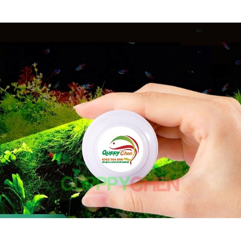 Hít Chùi Kính, Chà Hồ Nam Châm Mini Hình Tròn Dùng Cho Bể Cá