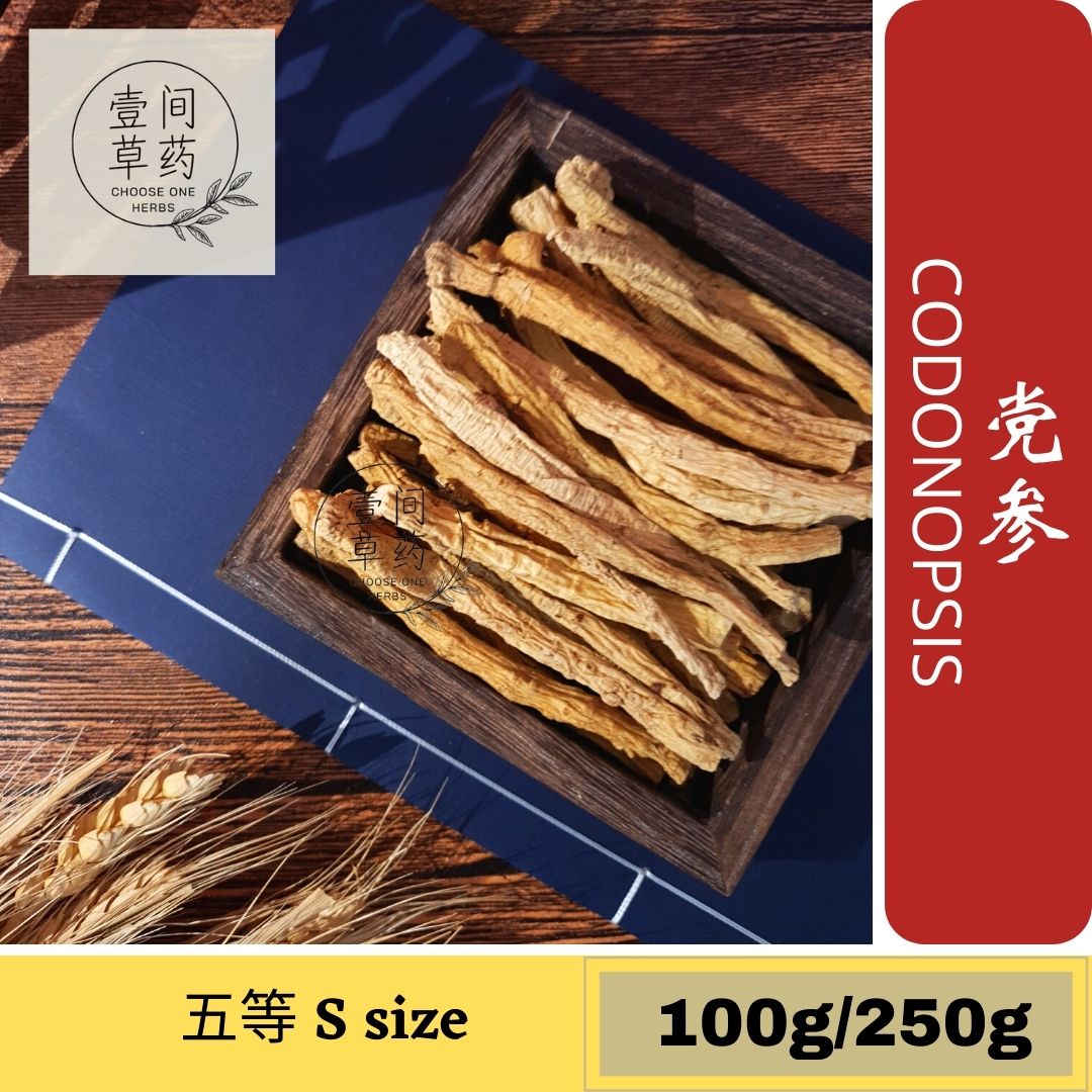 党参 Codonopsis 【COH 壹间草药】黨參 Dang shen 药材 药材汤 Chinese herbs Chinese
