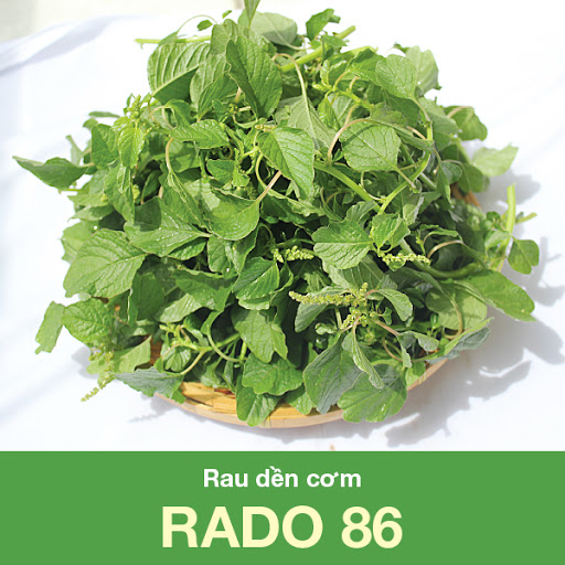 Hạt Giống Rau Dền Cơm (10gr)