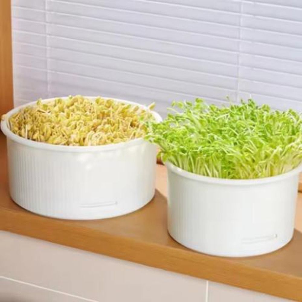 Practical Plastic Bean Sprout Nursery Pots Split Structure Ventilated ...