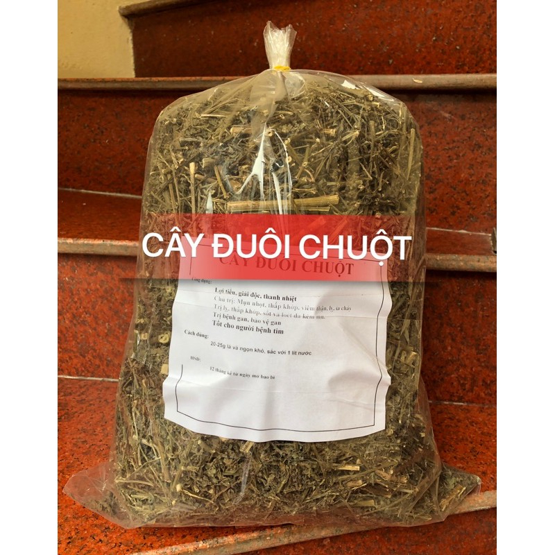 cây đuôi chuột khô 1kg