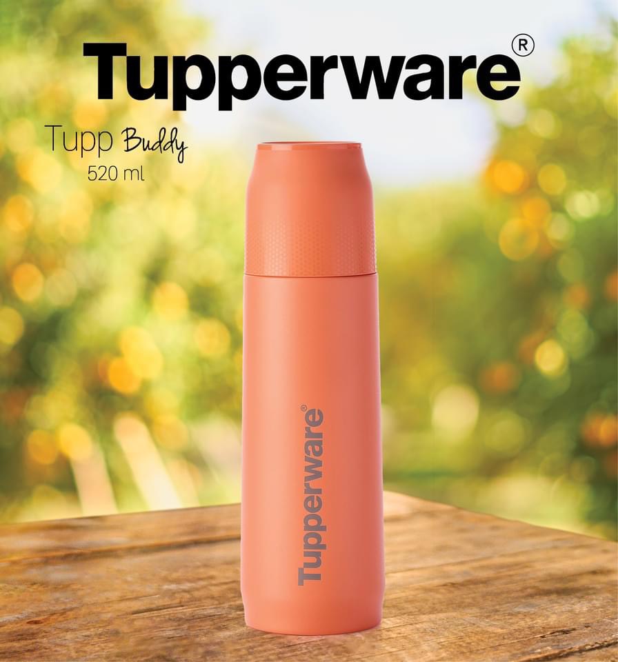 Bình giữ nhiệt Tupp Buddy 520ml - Tupperware