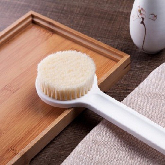 Cây bàn chải cọ lưng chà lưng