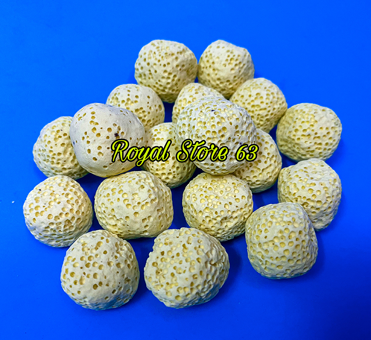 Sứ lọc vật liệu lọc cho bể cá cảnh (Sứ bi vàng)