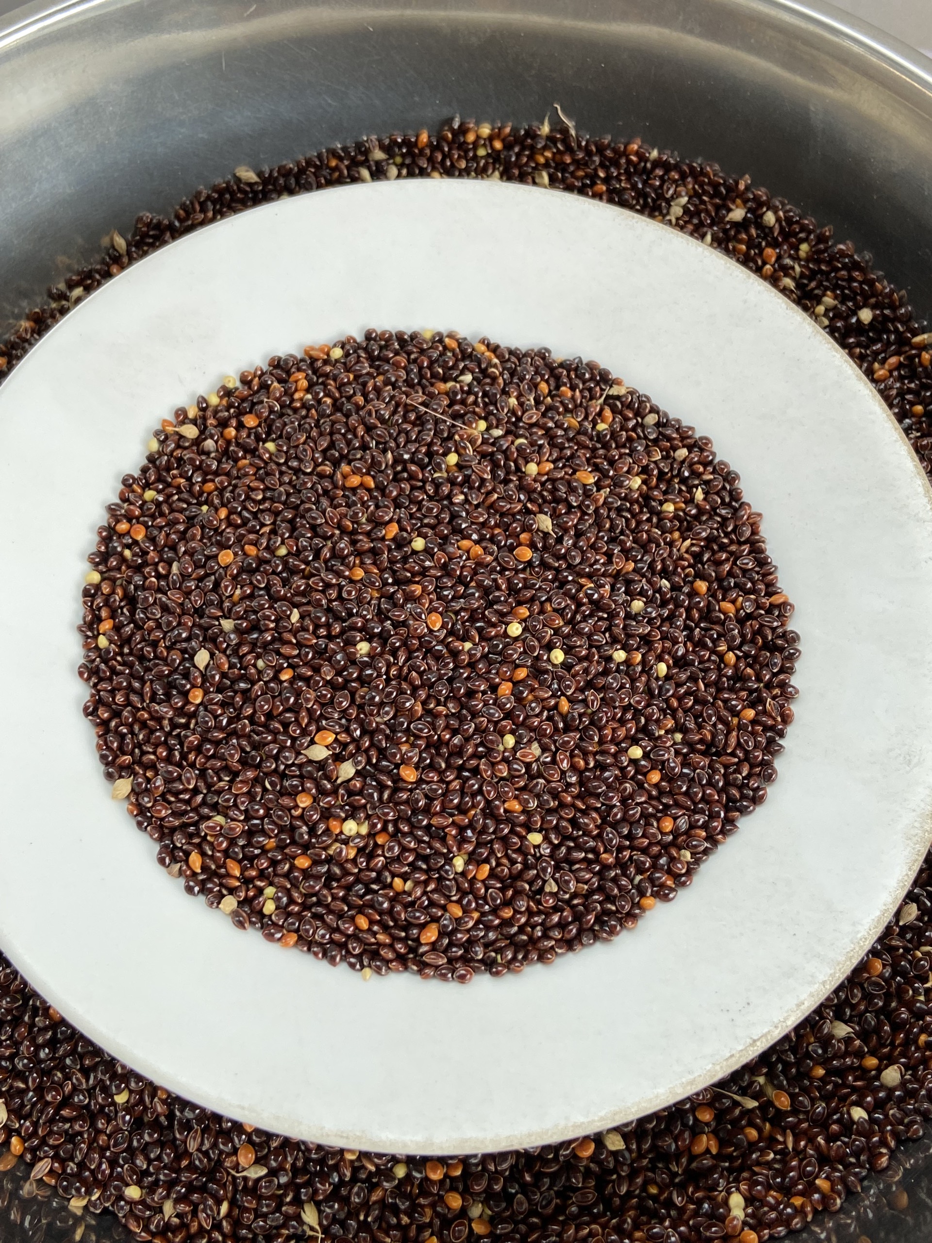 Cỏ Thái 500g - Cỏ thái đen cho chim chim cu gáy- Ngũ cốc Đặng Nam