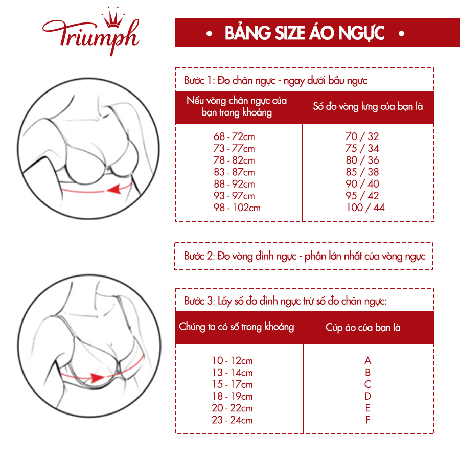 Triumph Fit Smart P