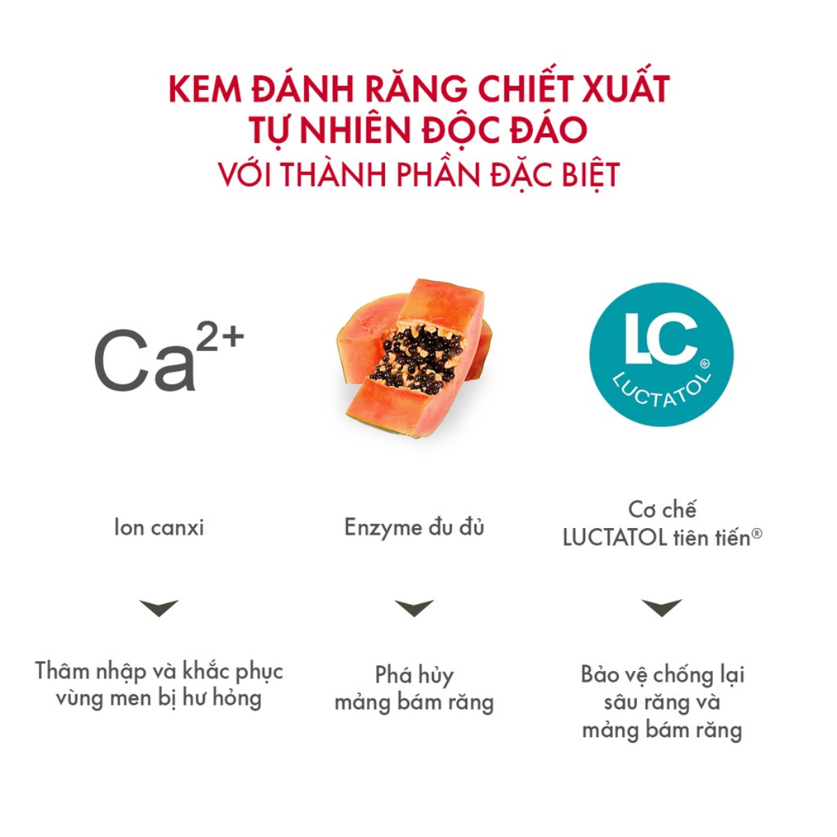 Kem đánh răng thơm miệng trắng răng SPLAT Maximum 100ml