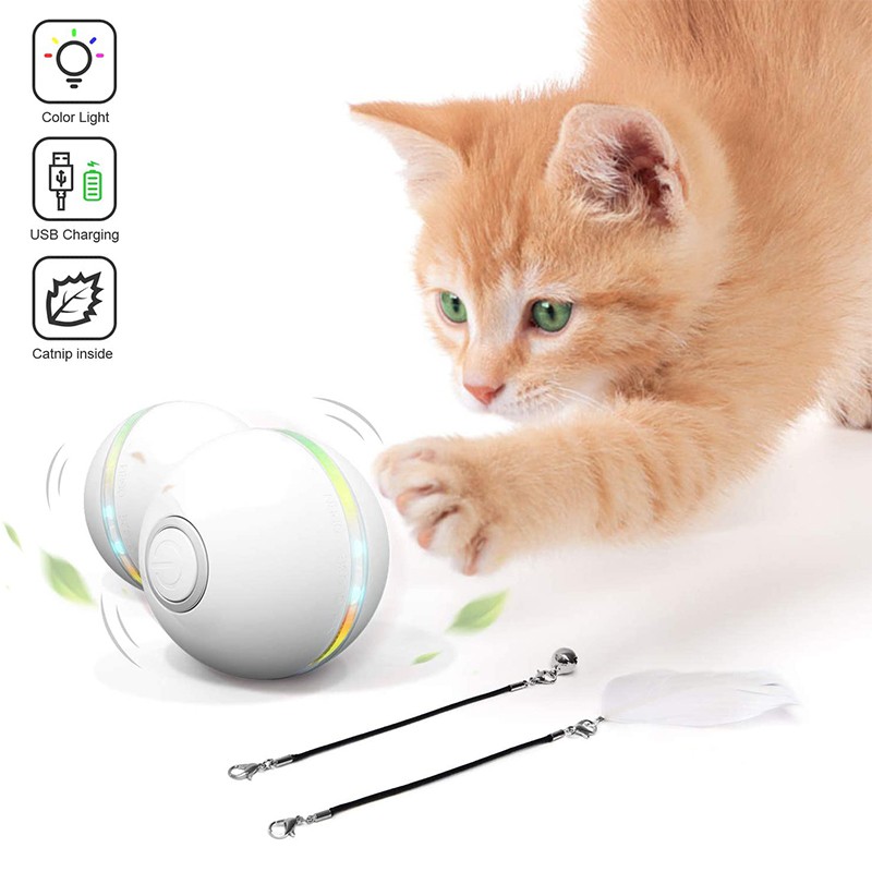 smart interactive cat toys