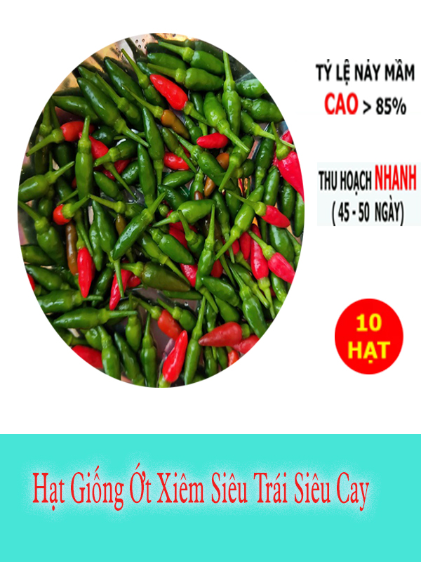 Hạt Giống Ớt Xiêm Thái Lan