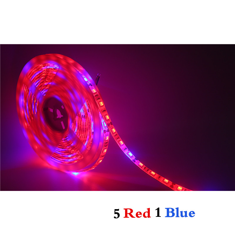 5050 Led Grow Full Spectrum Phyto Strip Lamp 1-5m 10m Red Blue Plants ...