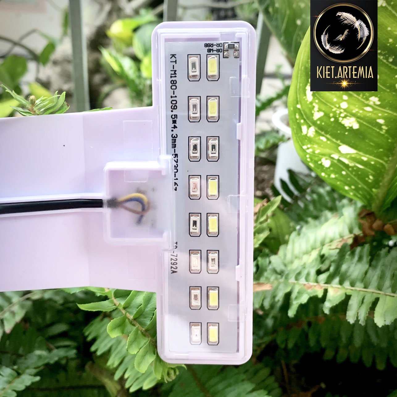 Đèn led kẹp hồ cá dùng cho hồ cá thủy sinh