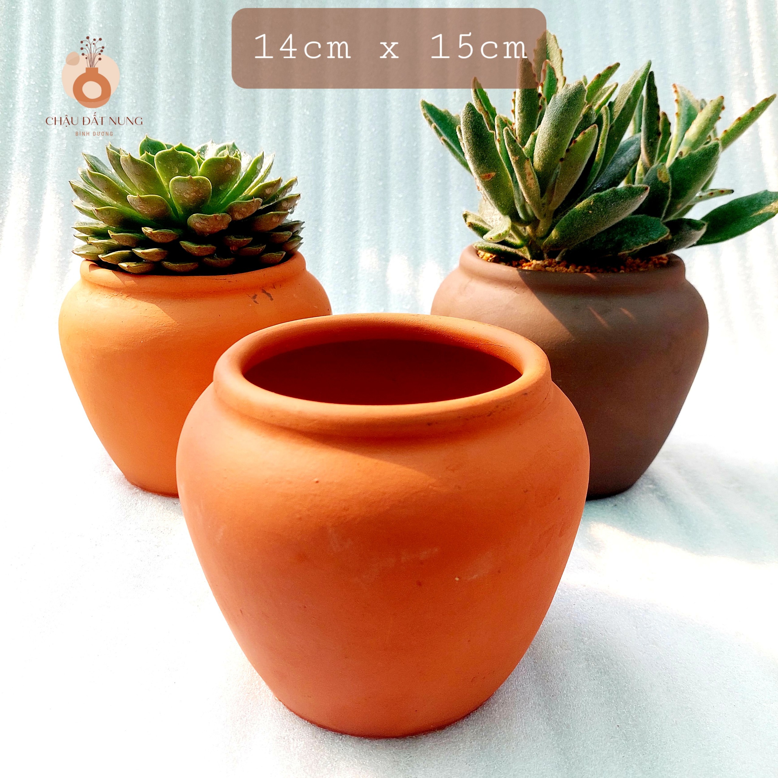 Chậu đất nung - Chum lùn, miệng chậu 14cm, chiều cao 15cm