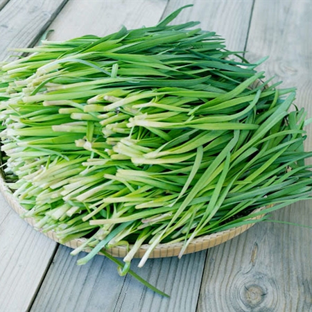 Hạt giống hẹ lá - gói 1 gram