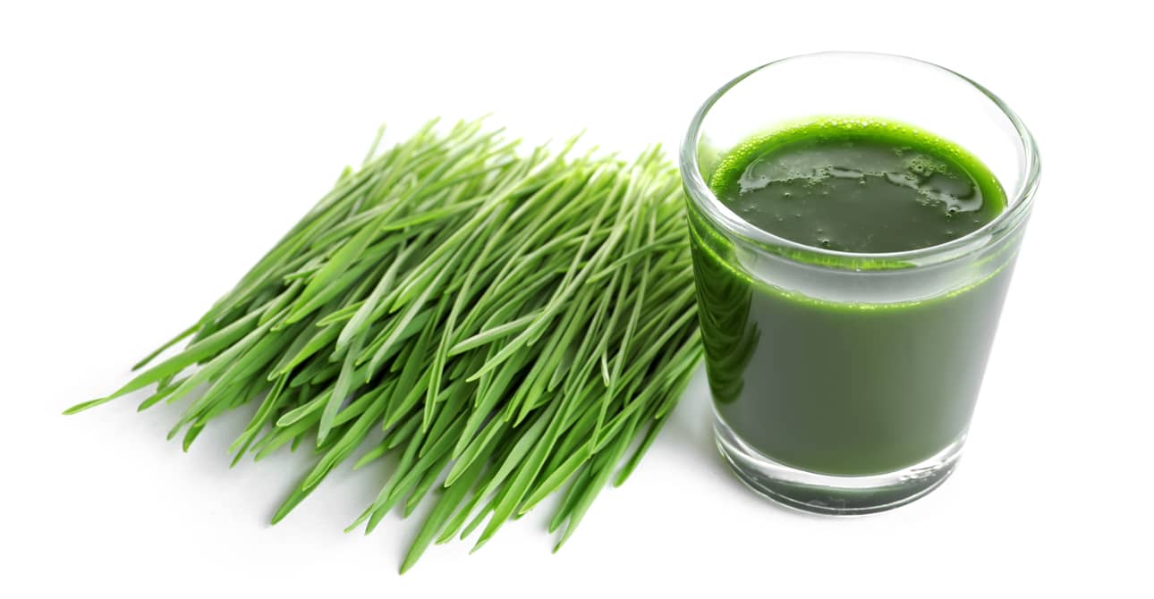 500g Bột cỏ lúa mì hữu cơ nguyên chất 100%