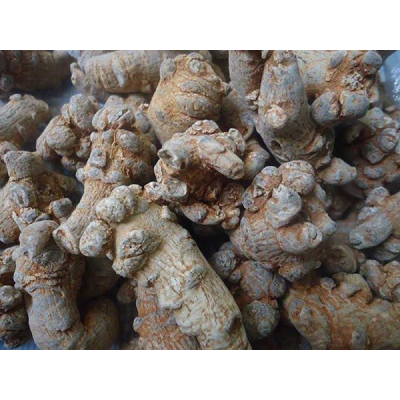 [CHÍNH HÃNG] CỦ TAM THẤT Bắc Khô Loại 1 (Thơm ChUẩn Lạc Củ 50)