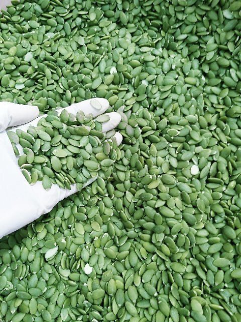 500GRAM NHÂN HẠT BÍ XANH MỸ SỐNG