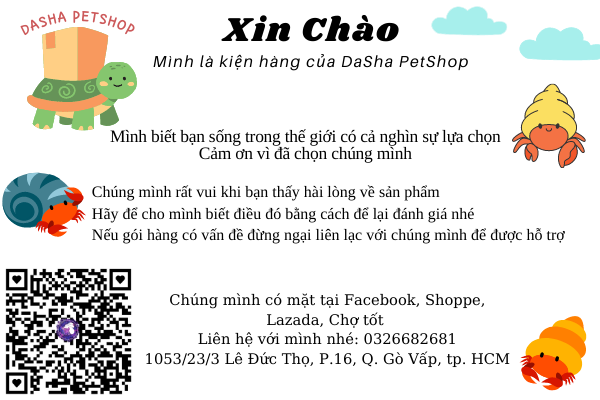 Vỏ Xà Cừ Đỏ  (trang trí bể cá)