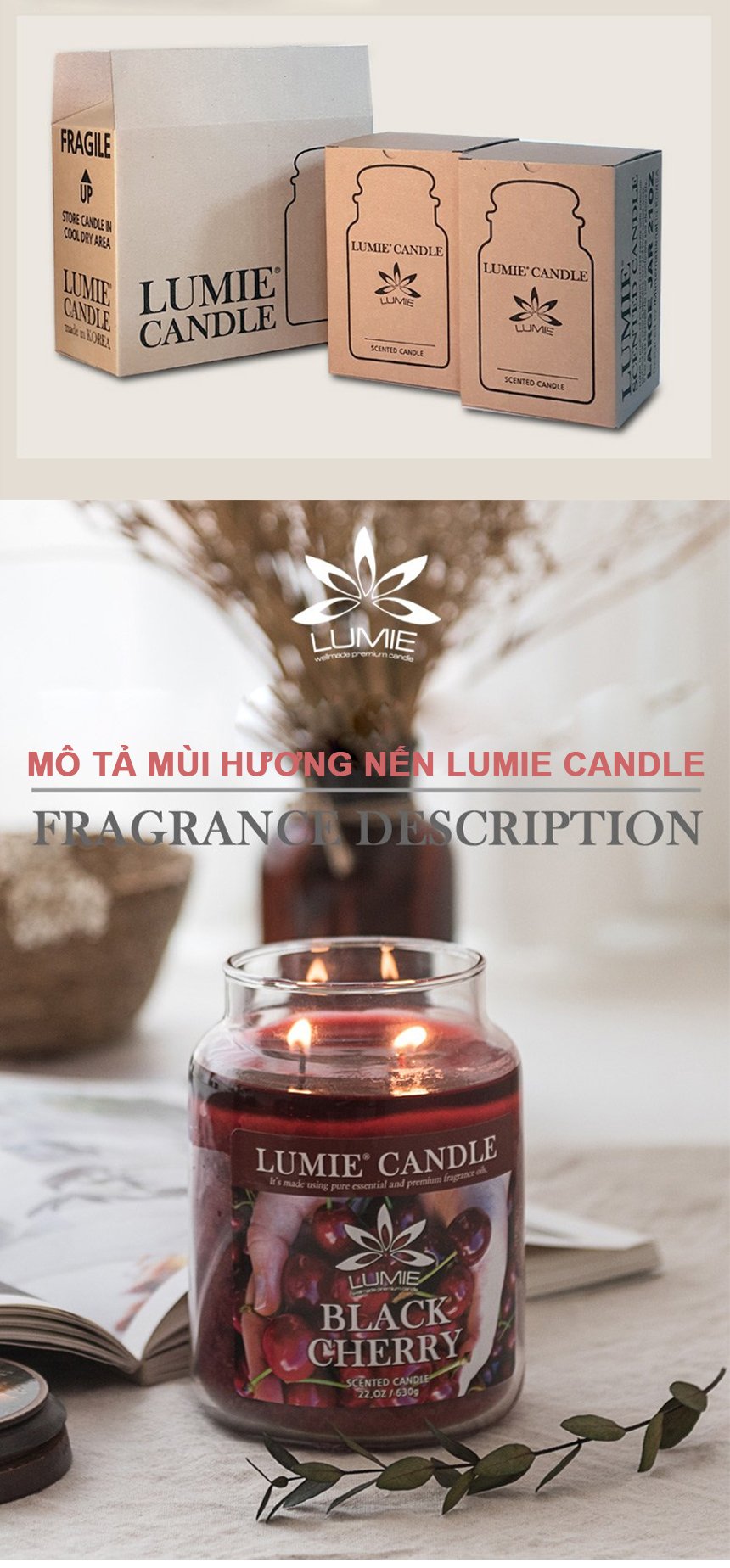 Nến Thơm Hàn Quốc Lumie Candle - Size L 630g