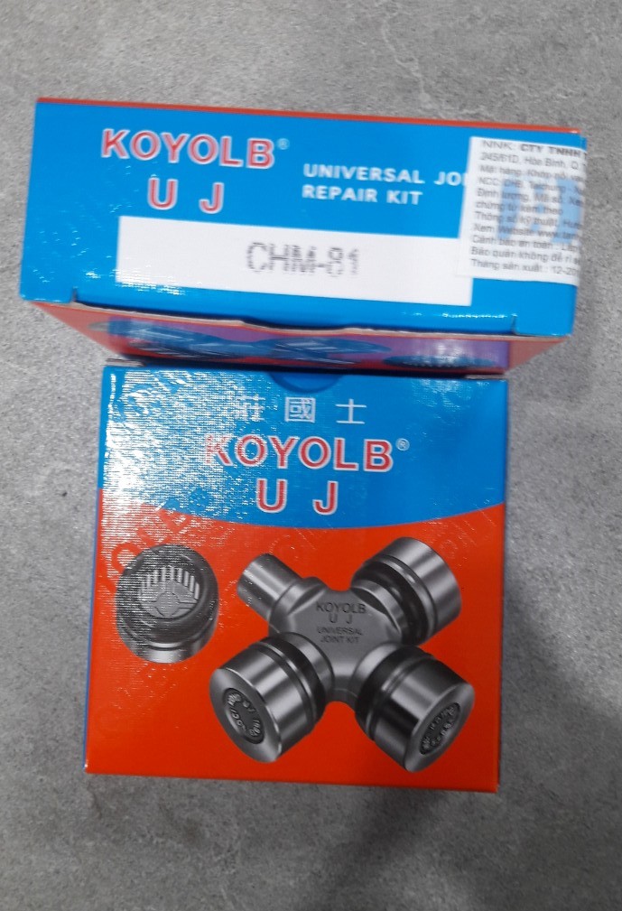 Vòng bi chữ thập KOYOLB