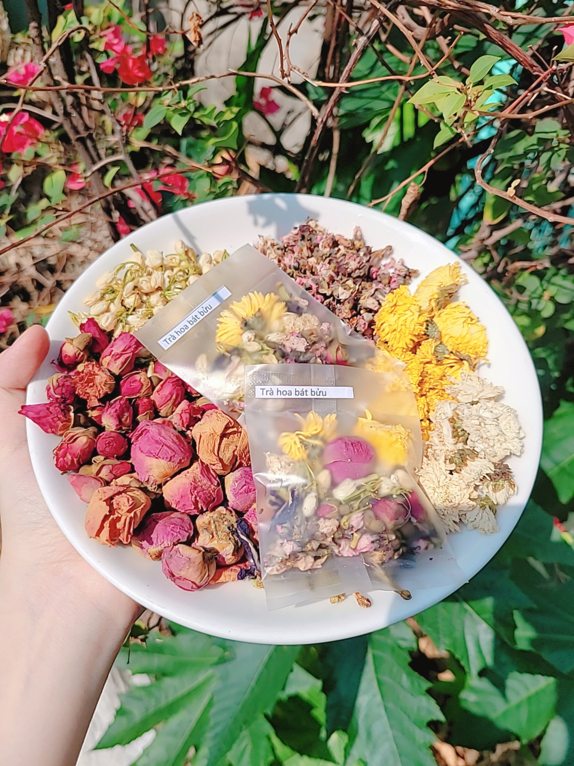 combo trà hoa bát bửu 15 gói