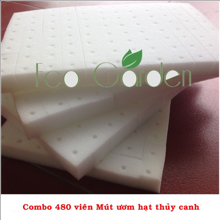 Bộ 96/480 viên Mút xốp ươm hạt, mút ươm hạt thủy canh