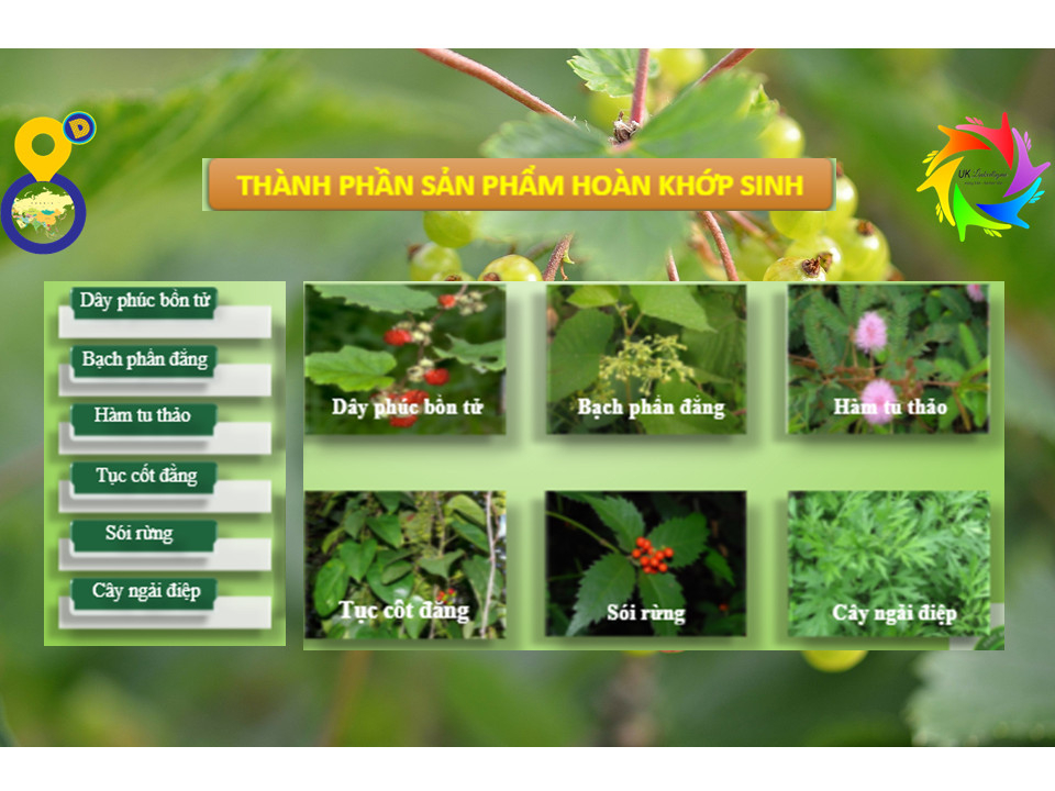 THỰC PHẨM CHỨC NĂNG HOÀN KHỚP SINH