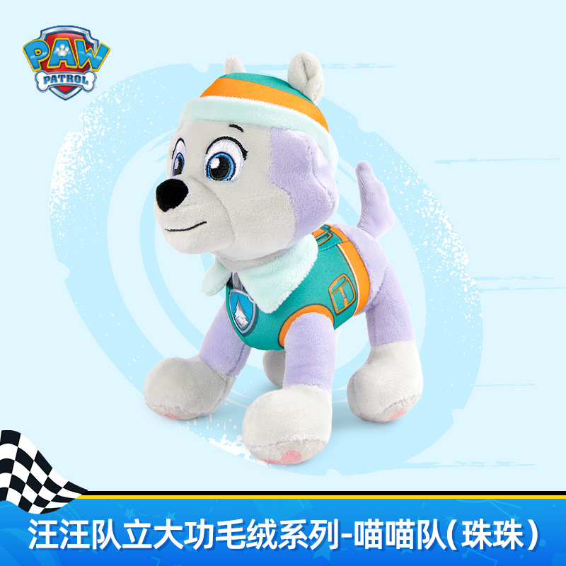 Original Paw Patrol Toys MIGHTY PUP POWER Cat Shade Leo Rory Skye