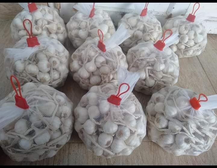 Tỏi Lý Sơn Quảng Ngãi