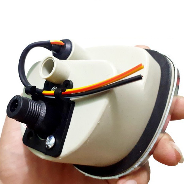 Đồng hồ cub 81
