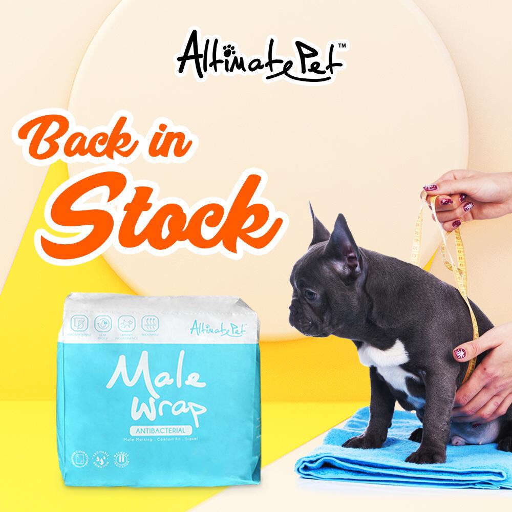 Bỉm mặc, tã quần cho chó đực hiệu Altimate Pet