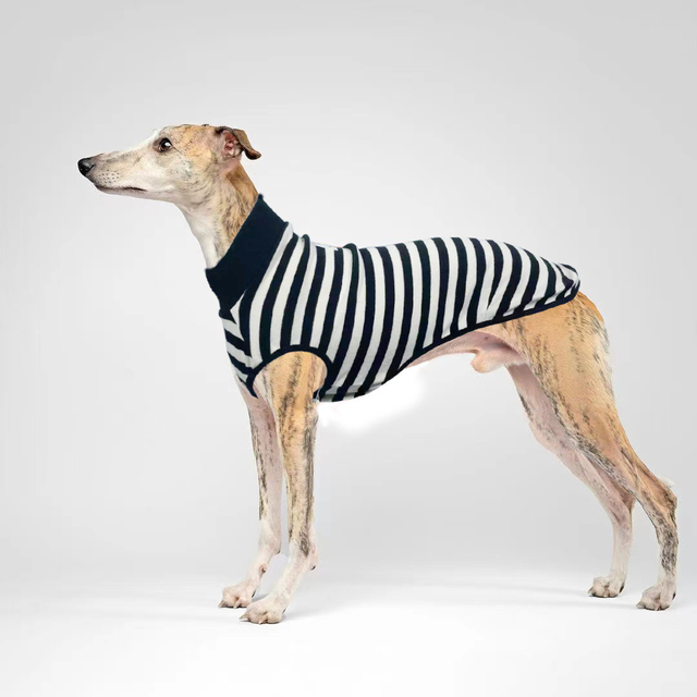 %E3%80%90The%20Quiet%20Page%E3%80%91Summer%20Black%20Striped%20Dog%20Vest%20Dog%20T-Shirt%20Suitable%20For%20Ltalian%20Greyhounds/whippet/boston%20Terrier%20Small%20And%20Medium-Sized%20Dogs%20-%20Image%202